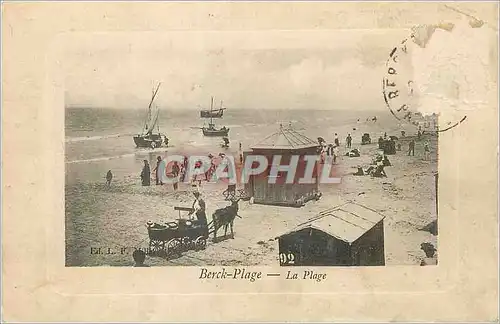 Cartes postales Berck Plage la Plage Ane Donkey