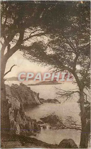 Cartes postales Environs de Hyeres