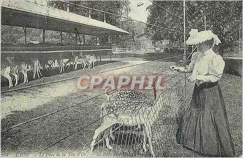 REPRO Lyon Le Parc de la Tete d'Or