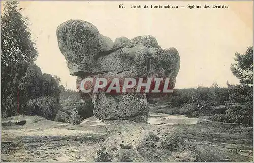 Cartes postales Foret de Fontainebleau Sphinx des Druides