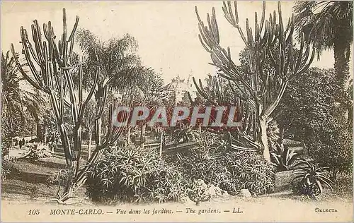 Ansichtskarte AK Monte Carlo Vue dans les Jardins