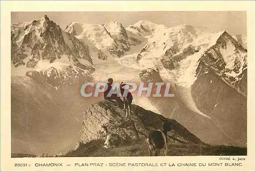 Ansichtskarte AK Chamonix Plan Praz Scene Pastorale et la Chaine du Mont Blanc Chevre