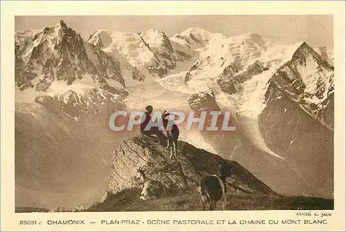 Cartes postales Chamonix Plan Praz Scene Pastorale et la Chaine du Mont Blanc Chevre