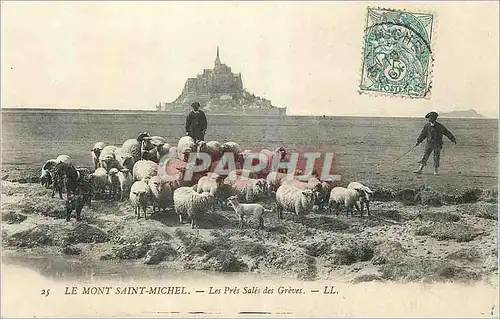 Cartes postales Le Mont Saint Michel Les Pres Sales des Greves Berger Moutons