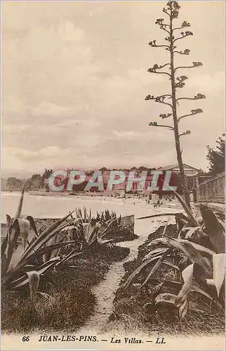 Cartes postales Juan les Pins Les Villas