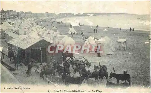 Cartes postales Les Sables d'Olonne La Plage Ane Donkey
