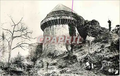 Cartes postales moderne Tiffauges (Vendee) Ruines du Chateau Chateau de Barbe Bleue