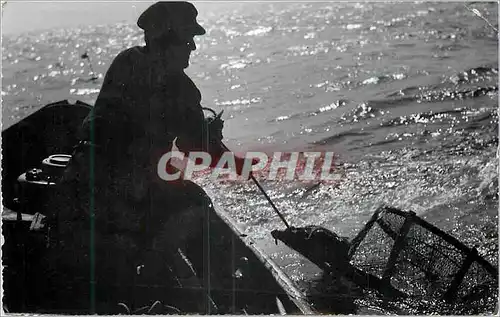 Cartes postales moderne Agon Coutainville Releve de Casiers a Homards Peche