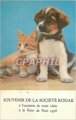 Cartes postales moderne Foire de Paris 1956 Souvenir de la Societe Kodac a l'occasion de votre visite Chiens
