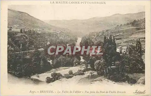 Cartes postales Brioude La Haute Loire Pittoresque La Vallee de l'Allier Vue prise du Pont de Vieille Bricude