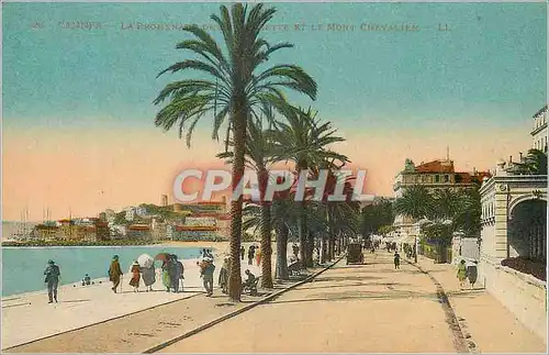 Cartes postales Cannes La Promenade