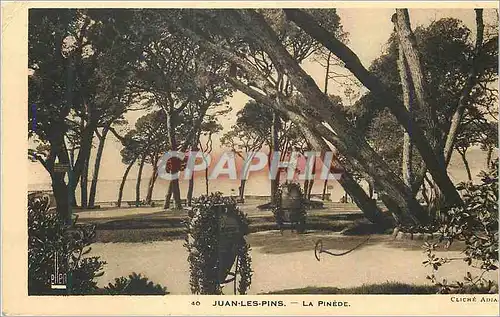 Cartes postales Juan les Pins La Pinede