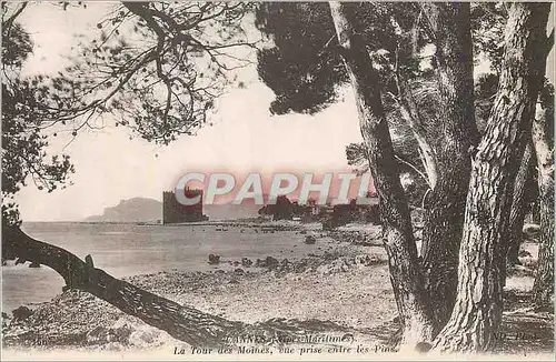 Cartes postales Cannes (Alpes Maritimes) La Tour des Moines vue prise entre les Pins