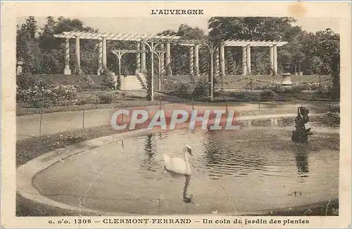 Cartes postales Clermont Ferrand Un Coin du Jardin des Plantes