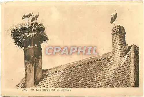 Cartes postales Les Cigognes en Alsace