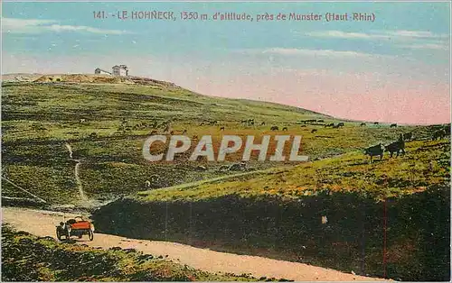 Cartes postales Le Hohneck 1350 m d'altitude pres de Munster (Haut Rhin)