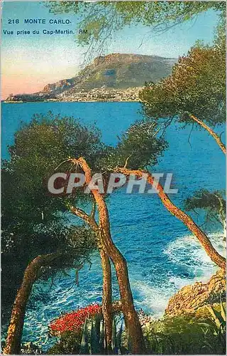 Ansichtskarte AK Monte Carlo Vue prise du Cap Martin