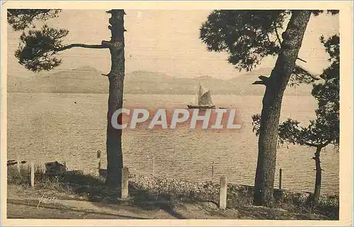 Ansichtskarte AK Saint Tropez (Var) Cote d'Azur La Douce France Le Massif de l'Esterel