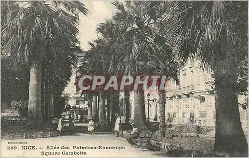 Cartes postales Nice Allee des Palmiers Kamerops Square Gambetta