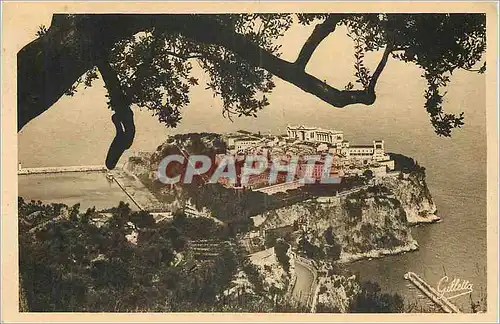 Cartes postales Monaco le Rocher entre les Arbres Cote d'Azur Artistique