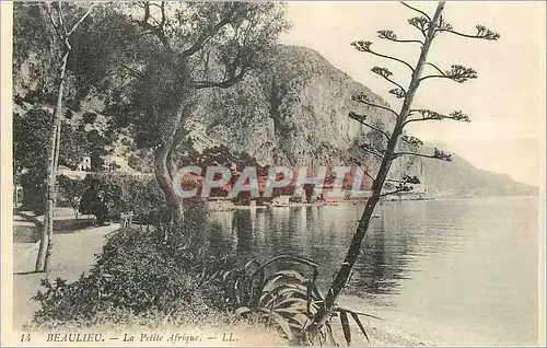 Cartes postales Beaulieu la Petite Afrique