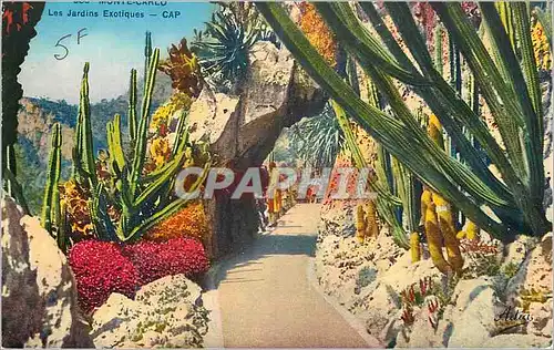 Cartes postales Monte Carlo Les Jardins Exotiques