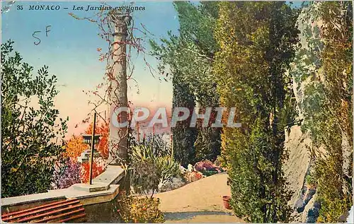 Cartes postales Monaco Les Jardins Exotiques