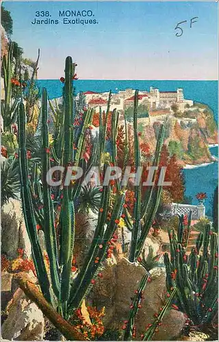 Cartes postales Monaco Les Jardins Exotiques
