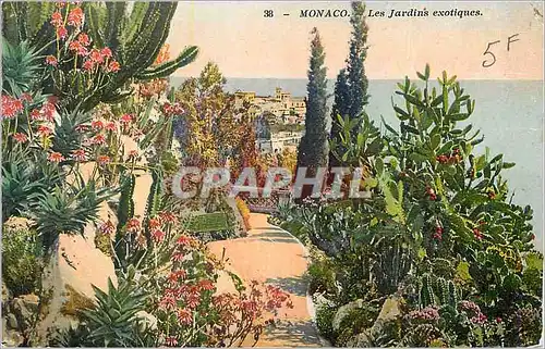 Cartes postales Monaco Les Jardins Exotiques