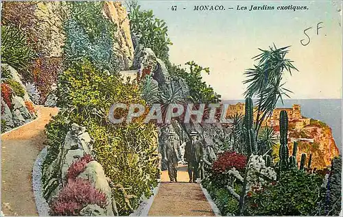 Cartes postales Monaco Les Jardins Exotiques