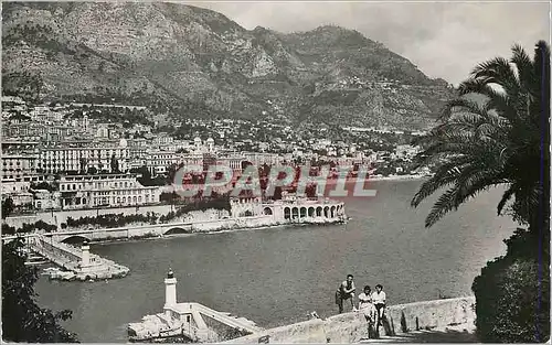 Cartes postales moderne Monaco Vue sur Monte Carlo