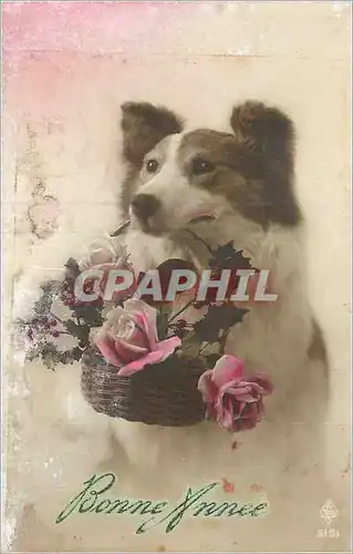 Cartes postales Bonne Annee Chien