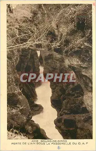 Cartes postales Bourg de Sirod Perte de l'Ain sous la Passerelle du CAF