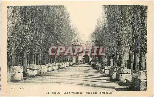 Ansichtskarte AK Arles Les Alyscamps Allee des Tombeaux