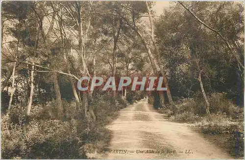 Ansichtskarte AK Le Cap Martin Une Allee de la Foret