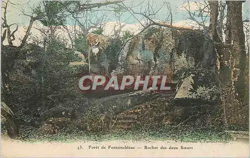 Cartes postales Foret de Fontainebleau Rocher des Deux Soeurs