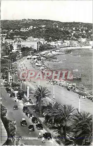 Cartes postales moderne Nice Les Promenades des Anglais