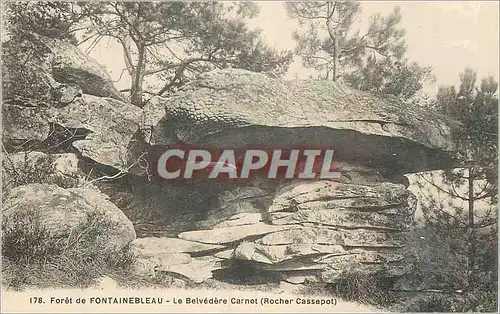 Ansichtskarte AK Foret de Fontainebleau Le Belvedere Carnot (Rocher Cassepot)