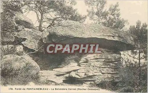 Cartes postales Foret de Fontainebleau Le Belvedere Carnot (Rocher Cassepot)