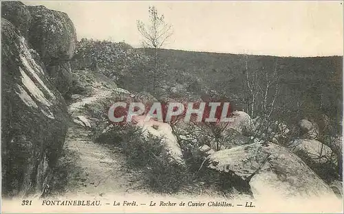 Ansichtskarte AK Fontainebleau La Foret Le Rocher de Cuvier Chatillon