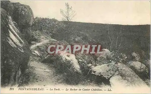 Cartes postales Fontainebleau La Foret Le Rocher de Cuvier Chatillon