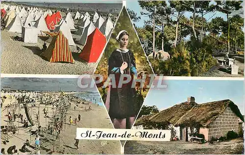 Cartes postales moderne St Jean de Monts La Plage Foret de Pins Maraichine Camping