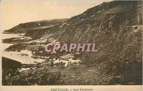 Cartes postales Greville Les Falaises Moutons