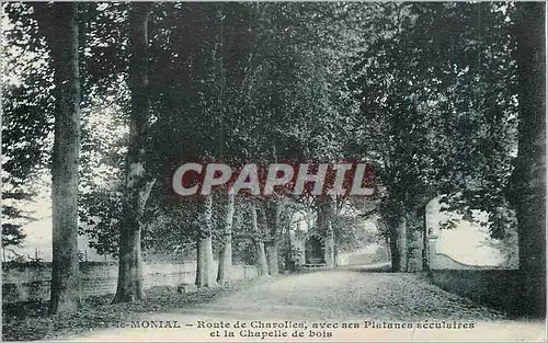 Cartes postales Paray le Monial Route de Charolles avec ses Platanes Seculaires et la Chapelle de Bois