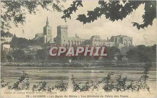 Cartes postales Avignon Les Bords du Rhone Vue Generale du Palais des Papes