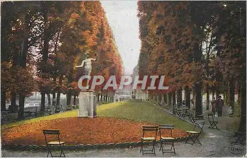 Cartes postales Paris Le Jardin de Luxembourg