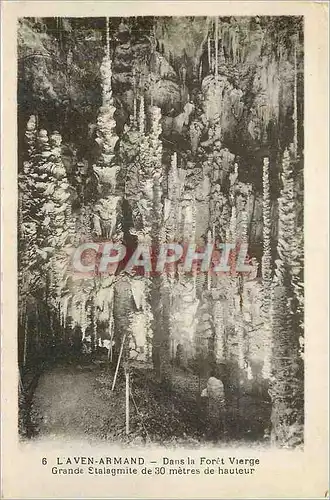 Ansichtskarte AK L'Aven Armand Dans la Foret Vierge Grande Stalagmite