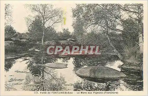 Cartes postales Foret de Fontainebleau La Mare aux Pigeons (Franchard)