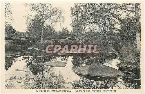 Ansichtskarte AK Foret de Fontainebleau La Mare aux Pigeons (Franchard)