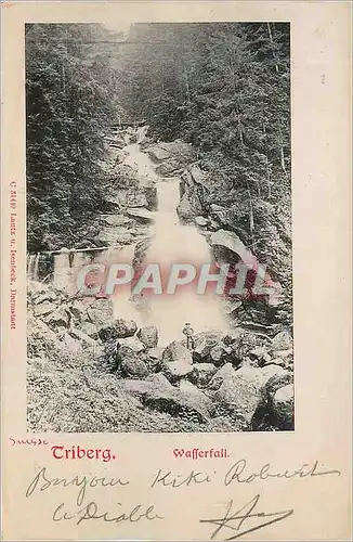 Cartes postales Triberg Watterfall